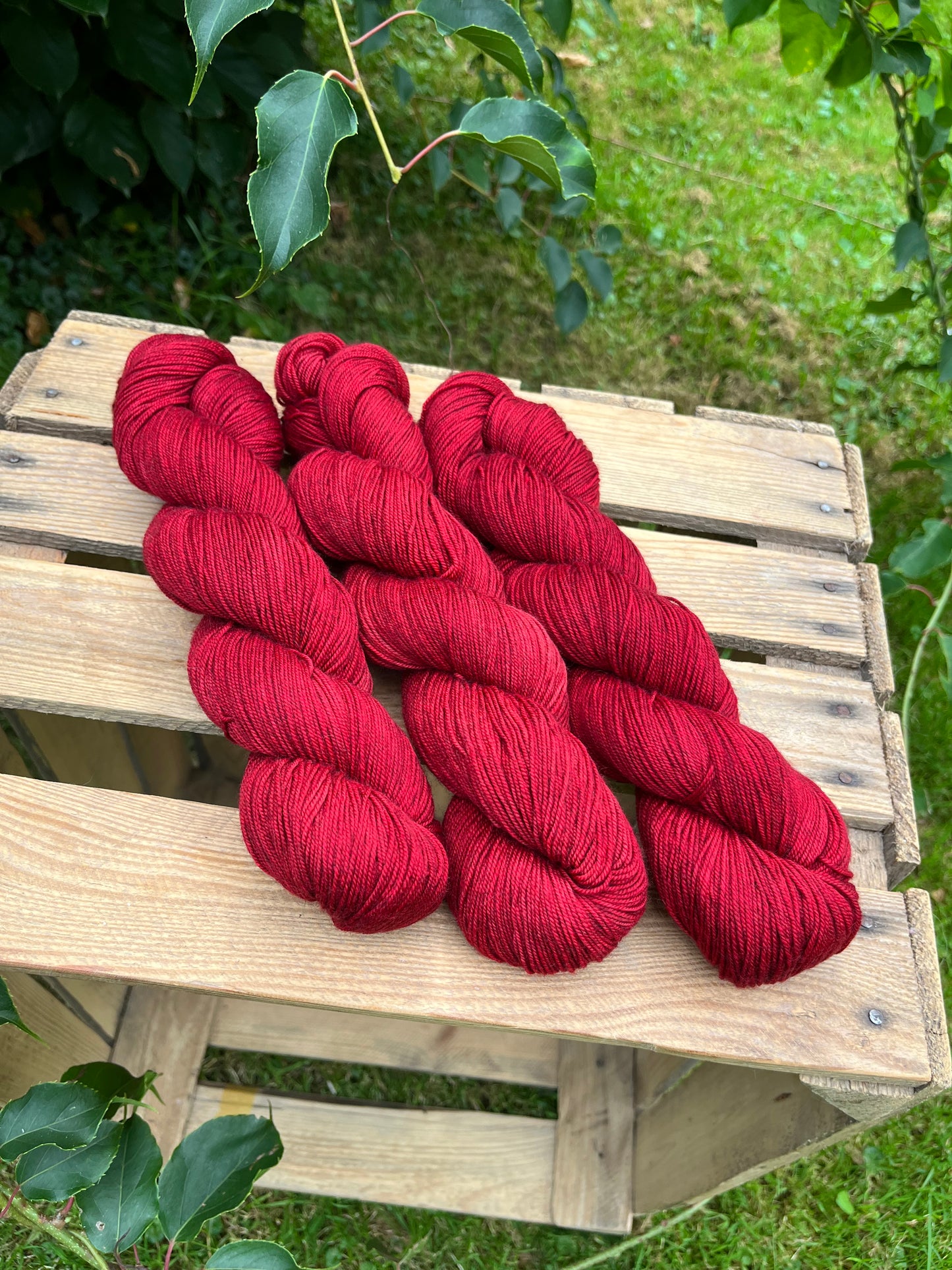 Himalay Sock Poisen - 25087