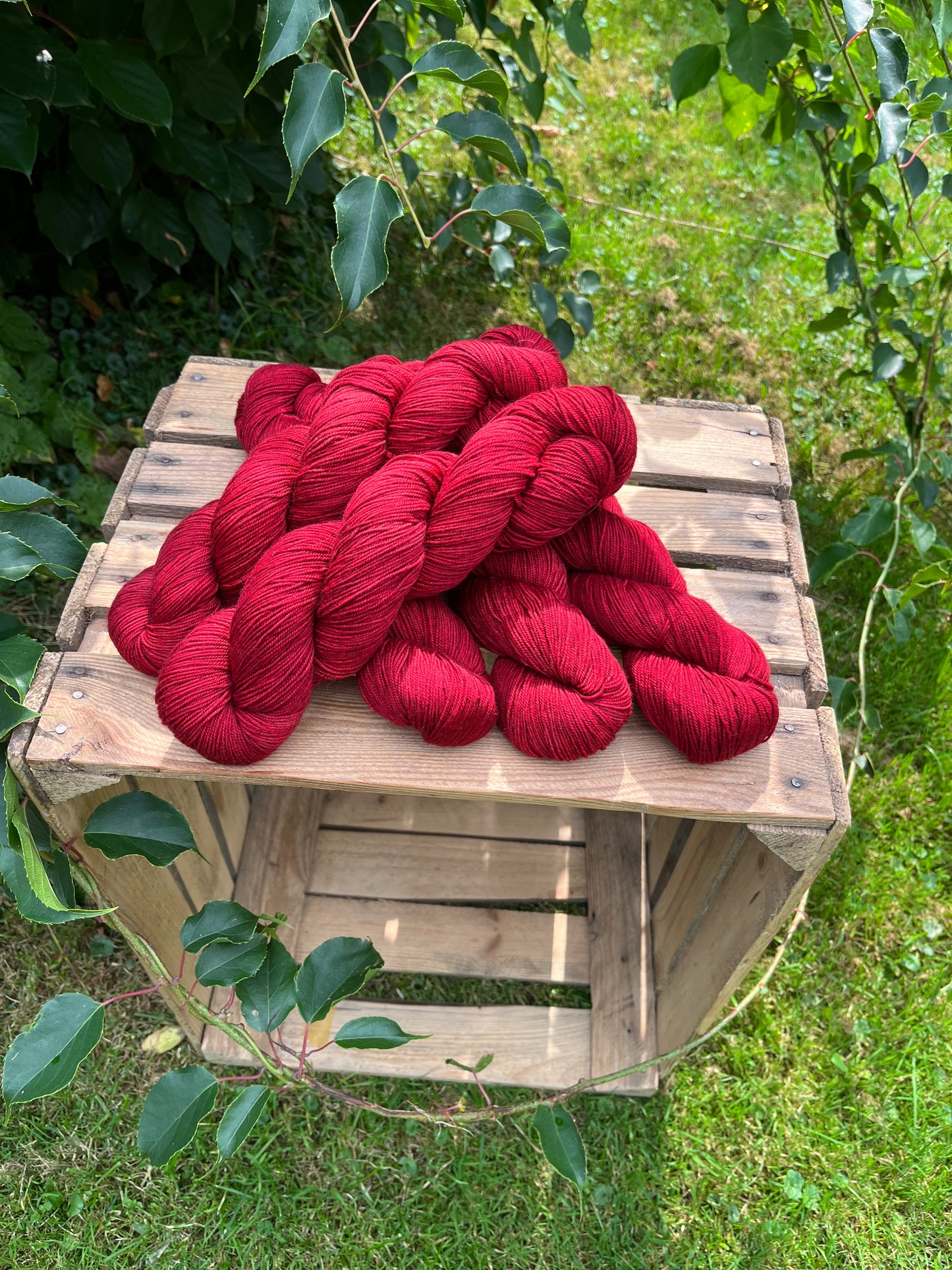 Himalay Sock Poisen - 25087