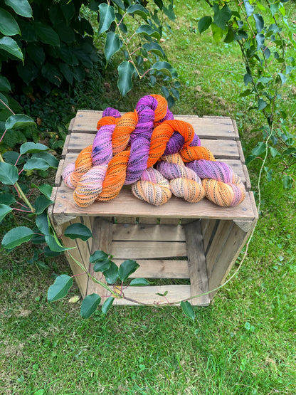 Safari Sock Orange / Lila - 25094