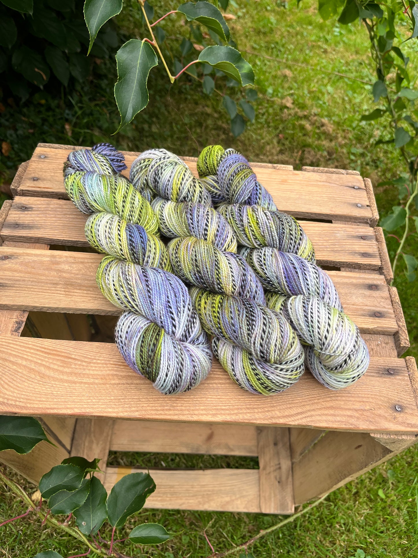 Safai Sock Dünen - 25092