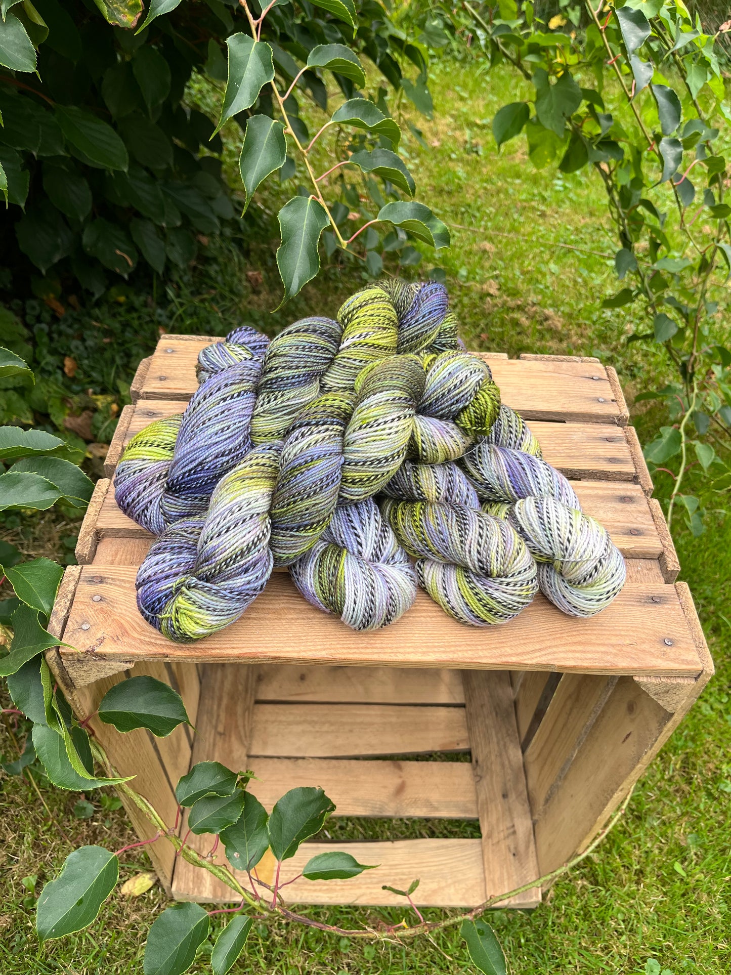 Safai Sock Dünen - 25092