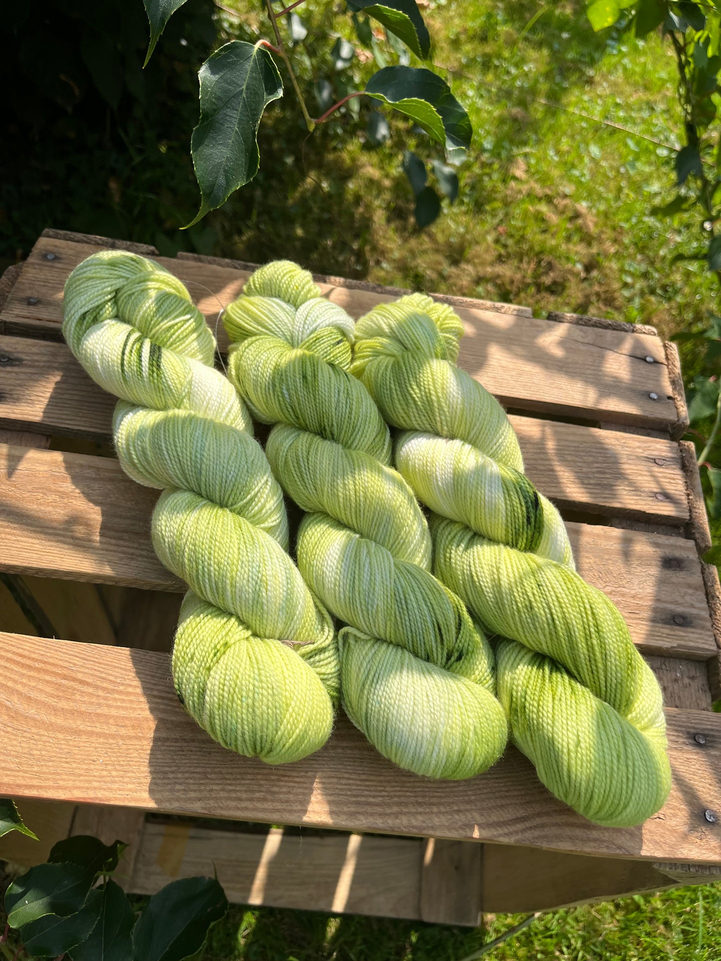 Goldrausch grün grün natur - 25075