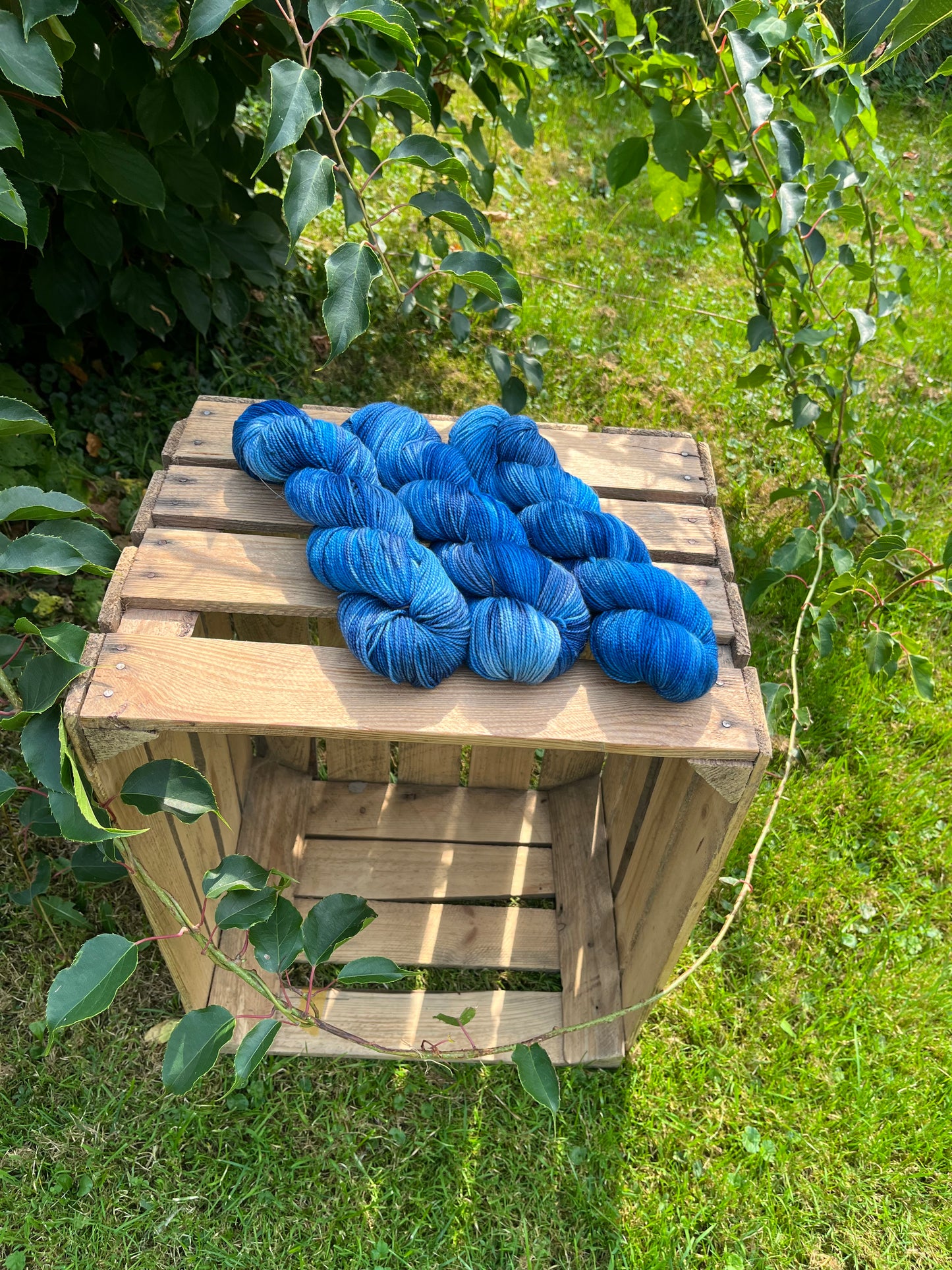 Goldrausch blau dunkler - 25077