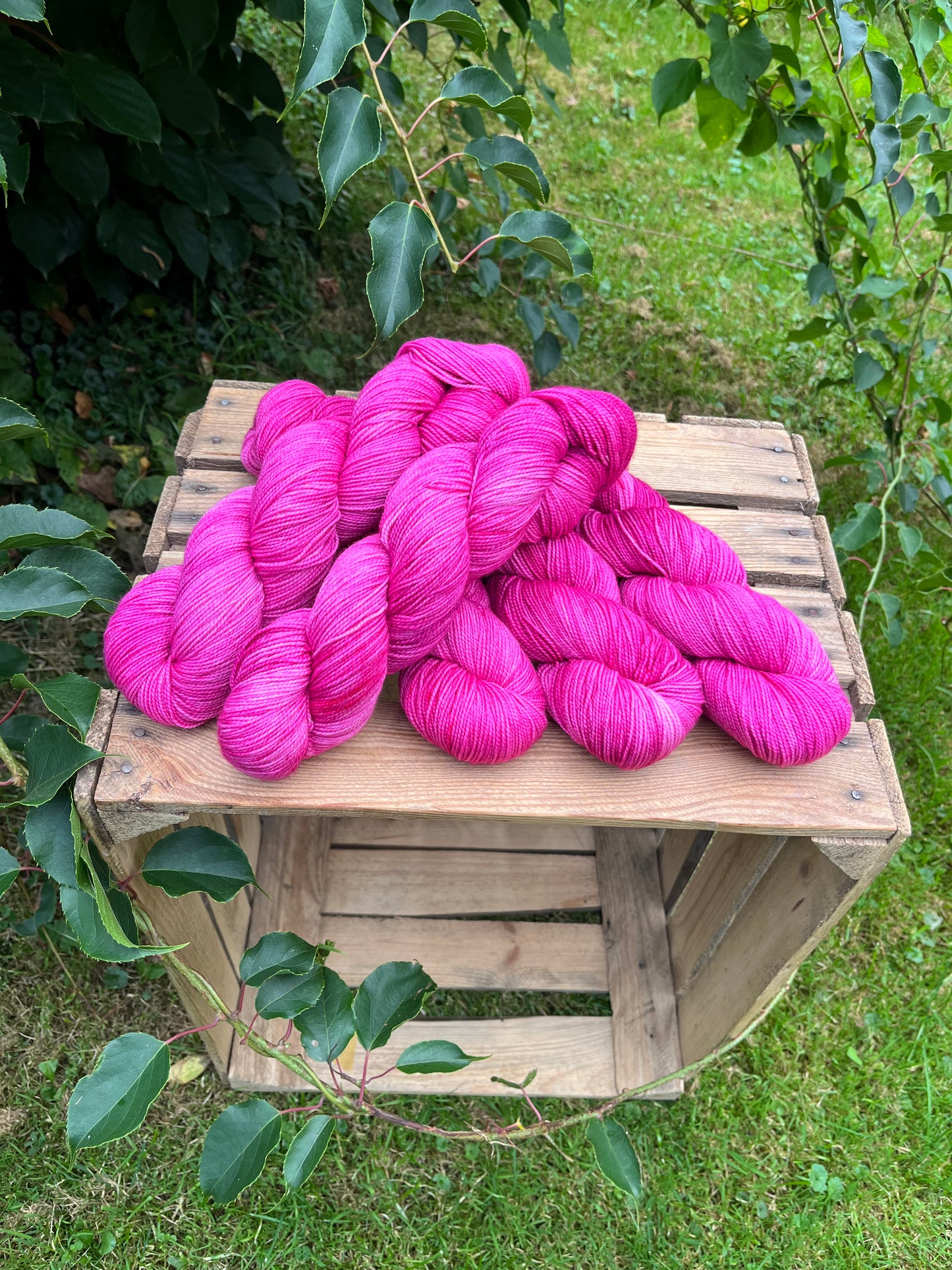 Goldrausch Raspberry - 25097