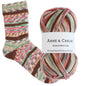 Socks & More Collection 4ply - Arne und Carlos