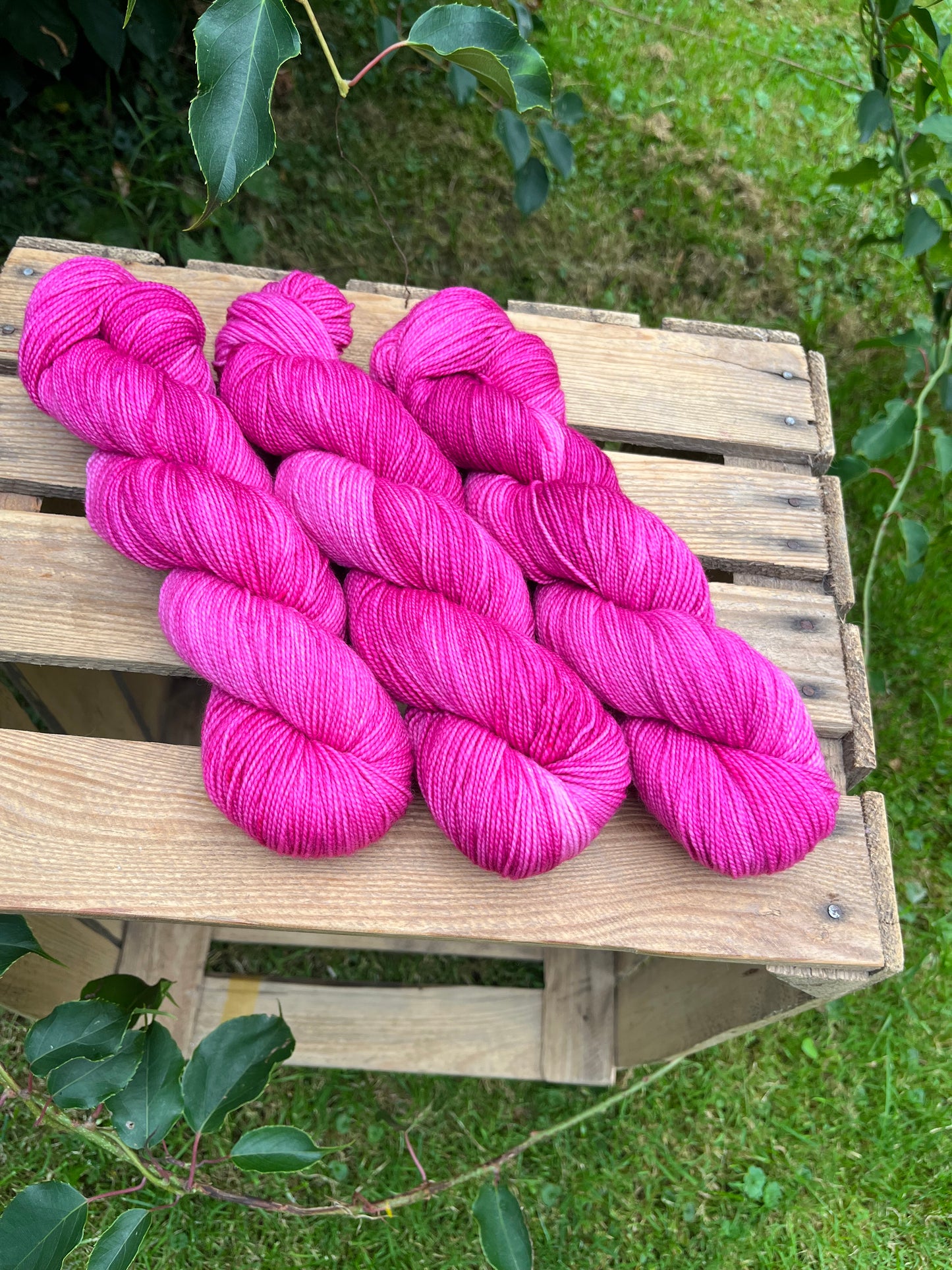 Goldrausch Raspberry - 25097