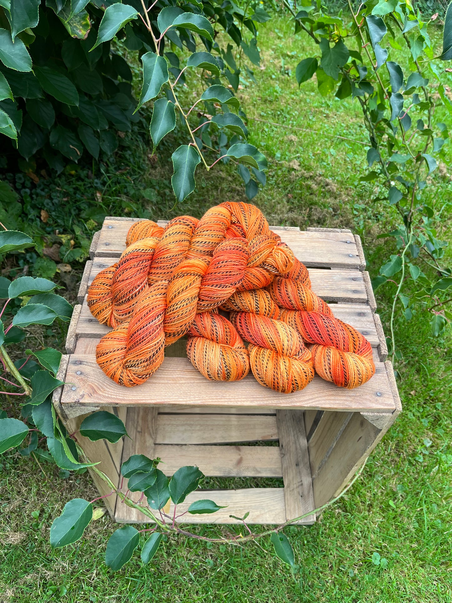 Safai Sock Tandoori Masala - 25095